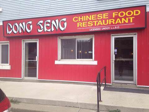 Dong Seng Chinese Food Take Out